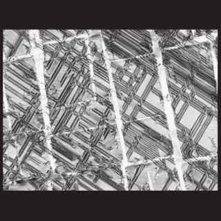 Faults in Co3(Al,W) precipitates that form during high temperature deformation. Faults in Co3(Al,W) precipitates that form during high temperature deformation.