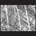 Faults in Co3(Al,W) precipitates that form during high temperature deformation.