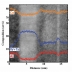 Solute Segregation to superlattice intrinsic stacking faults