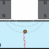 Cartoon of magnetic tweezer assay of polymer elasticity